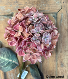Brynxz hyndrangea pink