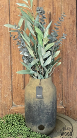 Brynxz eucalyptus