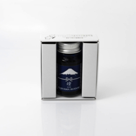 FUJIYAMA IRODORI  BRILLIANT SAN BLUE  FOUNTAIN PEN INK - TERANISHI