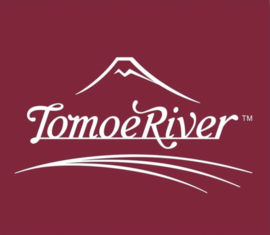 Tomoe River FP 52gsm Loose Sheet A5 Cream, 100 Sheets / 200 Pages (SR-A5P-C)