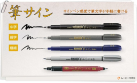 Zebra Pocket Brushpennen Set van 5