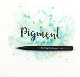 Pentel Brush Sign Pen Pigment SESP15-AX Zwart