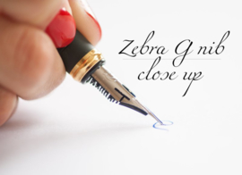 Jinhao Zwart X450 Zebra G-Nib Kalligrafeer Vulpen + Extra  1 Zebra G-Nib Titanium