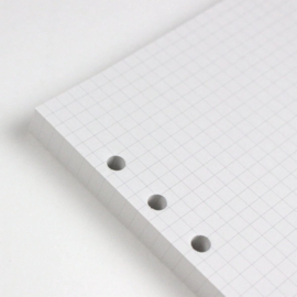Aanvulling / Navulling 111 Vel = 222 Pagina’s Geruit Wit Papier voor o.a. A5 Kalpa, Filofax (Clipbook) Organizers