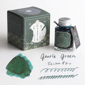 Teranishi Guitar Taisho Roman Haikara Gentle Green  Vulpen Ink - 40 ml Bottle