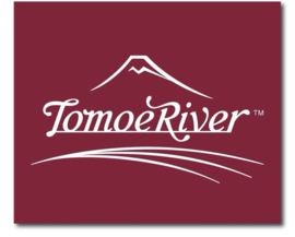 Tomoe River FP  52g/m² A5 Notebook / Pad - 160 Pages Square / Graph