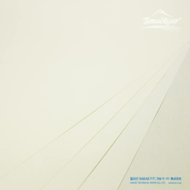 Tomoe River FP 52gsm Loose Sheet A5 Cream, 100 Sheets / 200 Pages (SR-A5P-C)