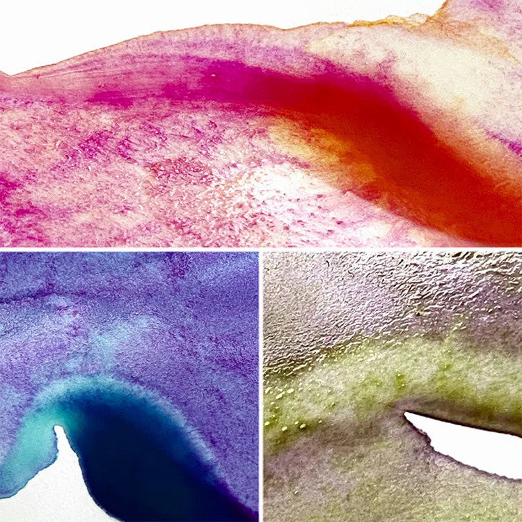 Kuretake Gansai Tambi Granulating Colors Set # 2