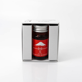 FUJIYAMA IRODORI AKANE RED  FOUNTAIN PEN INK - TERANISHI