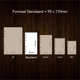 Standaard / Personal formaat 170 x 95mm Dotted  Crème 120g/m² Notitiepapier 120 Pagina's