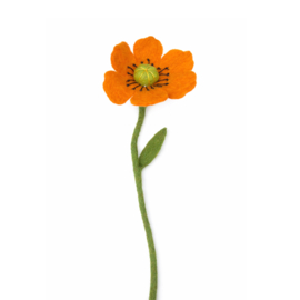 Klaproos/poppy flower