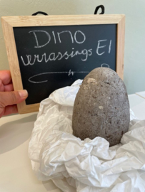 Workshop DINO-EI maken KINDEREN - op aanvraag