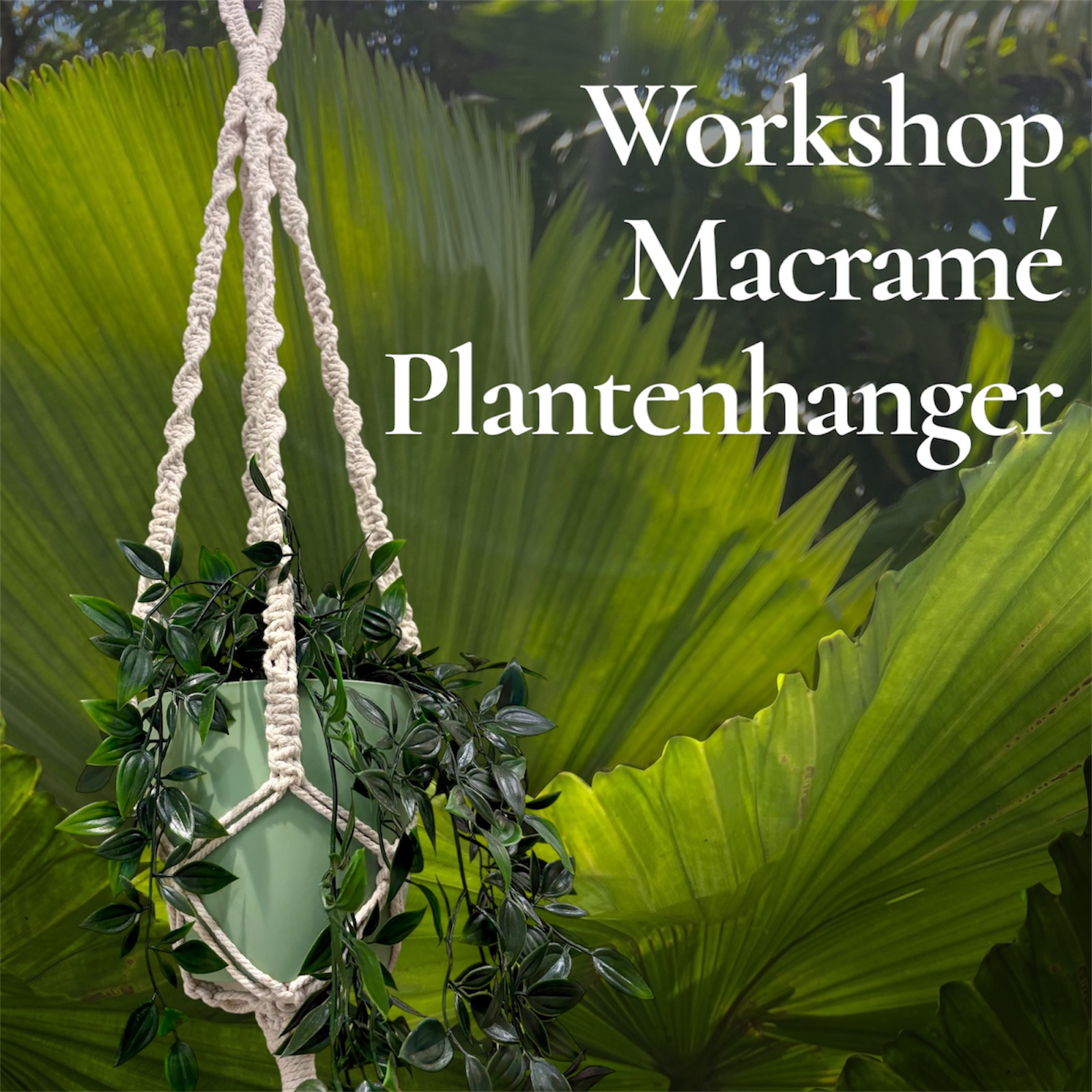 Workshop Macramé Plantenhanger - op aanvraag