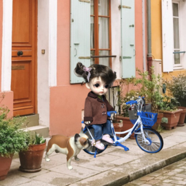 Fiets 17 cm (1:10)