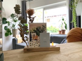 Kaartje versturen met droogbloemen en lichtpuntje 19 cm - Plankje