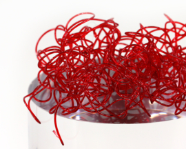 Wiggly Worms - bloodworm