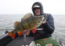 Dutch predator slam!