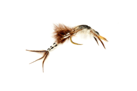 Mayfly Nymph #10