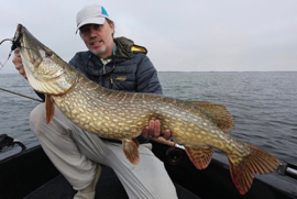 Dutch predator slam!