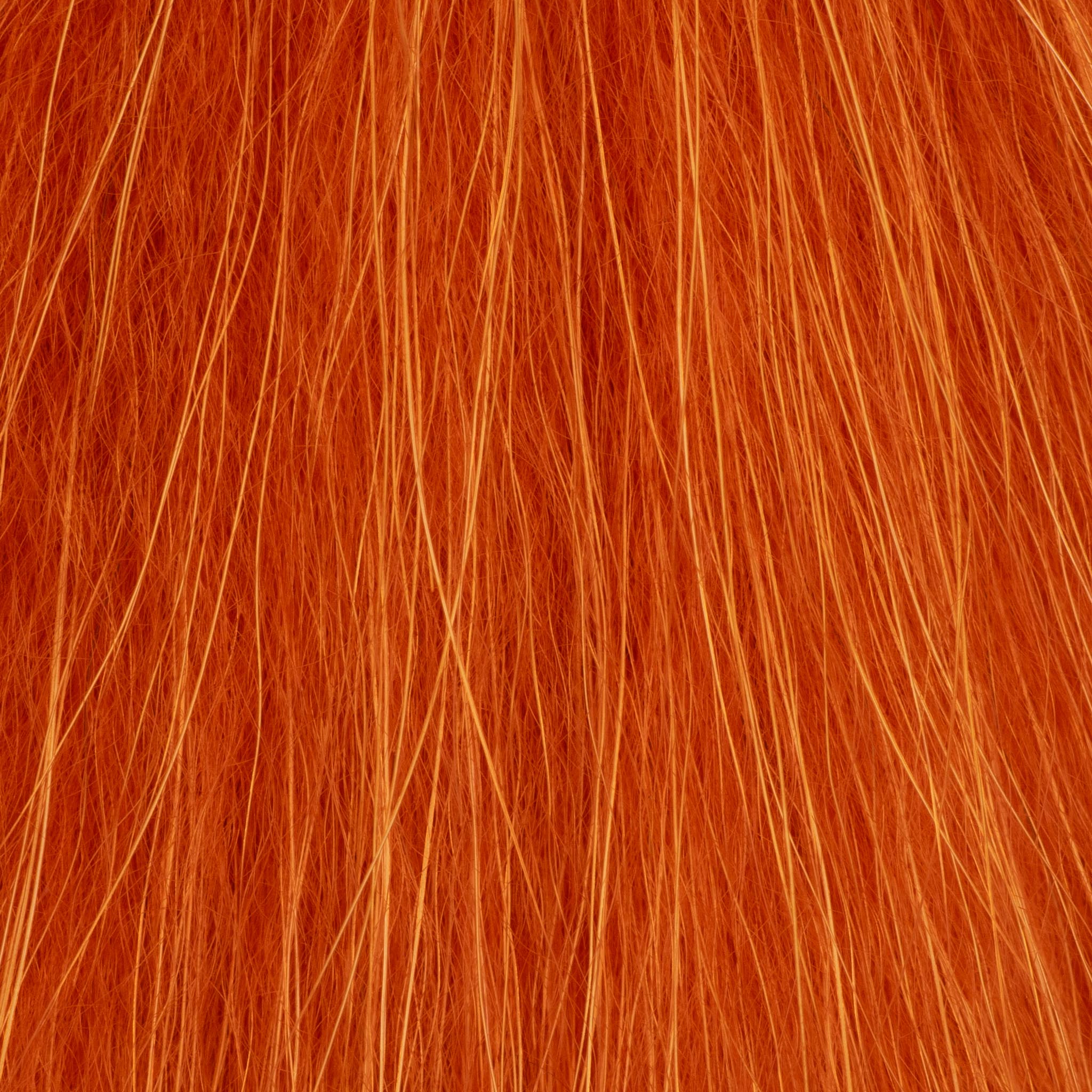 Tanuki - burnt orange