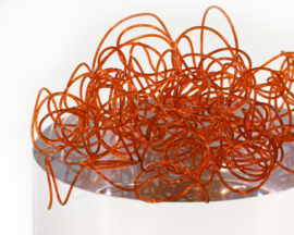 Wiggly Worms - cinnamon