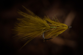 Olive Bugger