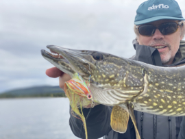 Pike in Lapland