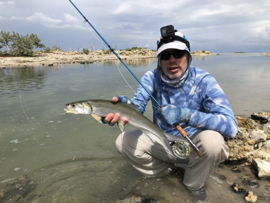 Tarpon & bonefish