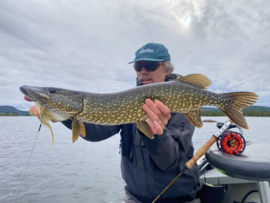 Pike in Lapland