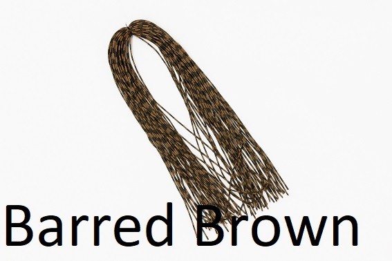 Centipede Legs Mini - barred brown