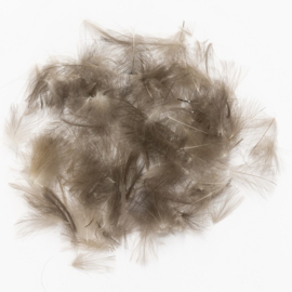 CDC 1gram - natural grey