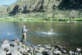 Trophy taimen