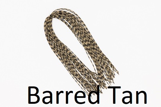 Centipede Legs Mini - barred tan