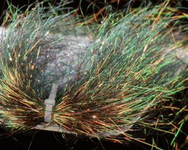 Saltwater Angel Hair - brown peacock