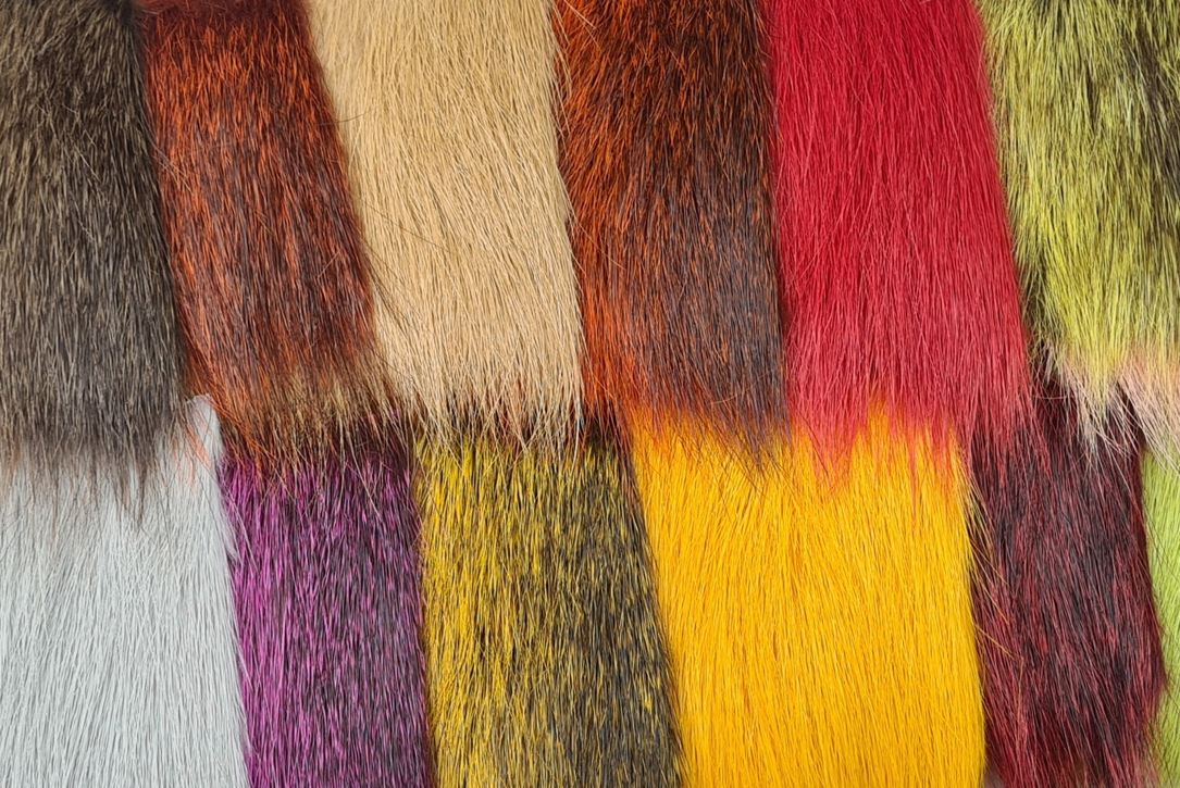 Nutria - fiery brown