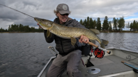 Pike in Lapland