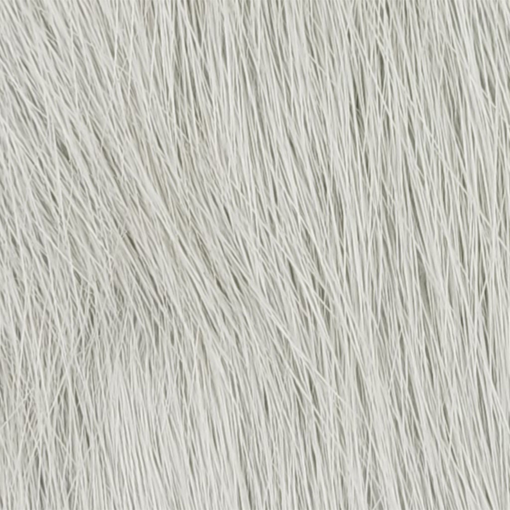 Nutria - grey