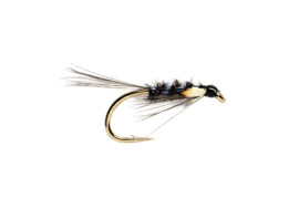 Black Diawl Back