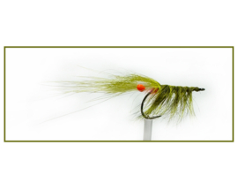 Nutria Shrimp - olive #4