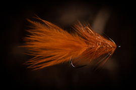 Burnt Orange Bugger #6