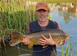 Carp on fly
