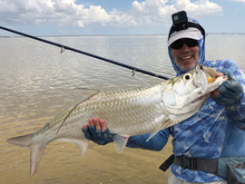 Tarpon & bonefish