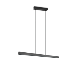 Trio lighting hanglamp Donegal led, zwart
