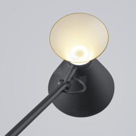 Helestra vloerlamp Luk led, zwart - goudAluminium + gematteerd acryllas