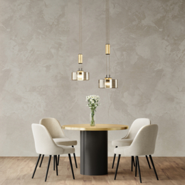Fischer&honsel hanglamp Lavin led, 2-lichts zwart-goud