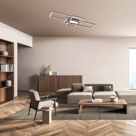 Fischer & Honsel plafondlamp Seth led, mat zwart incl. afstandsbediening