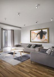 Helestra plafondspot inbouw Pont led, 1-lichts mat wit