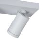 Lucide plafondspot Taylor led, 2-lichts WIt IP44