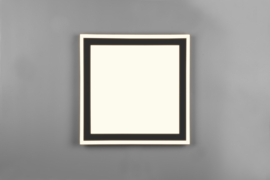 Trio lighting plafondlamp Carus led, zwart vierkant
