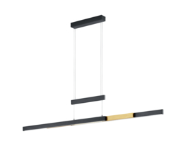 Trio lighting hanglamp Trajan led, zwart met messing